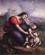 Cesare da Sesto Madonna and Child with the Lamb of God Germany oil painting artist
